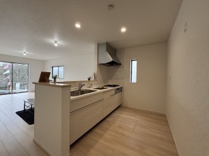 豊田市野見山町、新築一戸建ての画像です