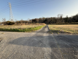 豊田市保見町、土地の画像です