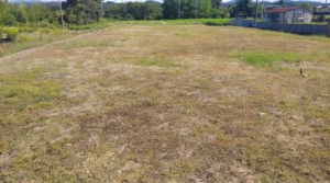 豊田市御船町、土地の画像です