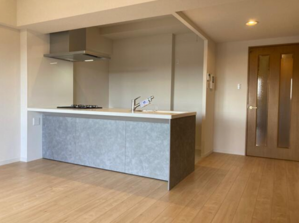 豊田市新生町、マンションの画像です