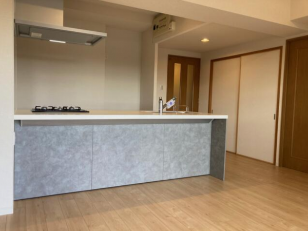 豊田市新生町、マンションの画像です