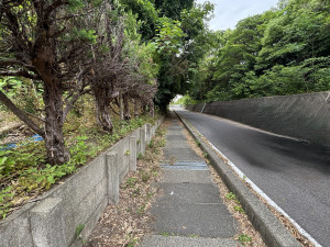 豊田市本地町、土地の画像です