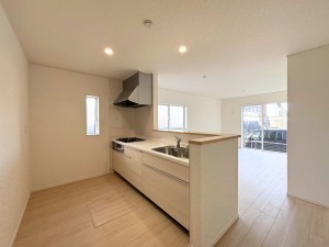 豊田市明和町、新築一戸建ての画像です