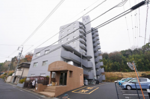 豊田市梅坪町、マンションの画像です