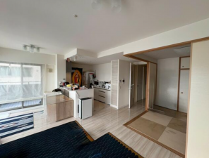 豊田市浄水町、マンションの画像です