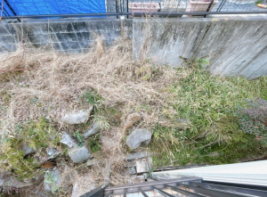 豊田市明和町、土地の画像です