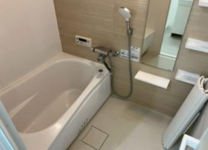 豊田市梅坪町、マンションの画像です