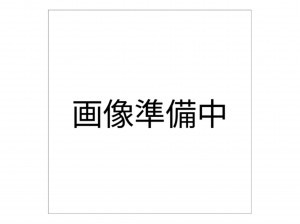 福井市乾徳、土地の間取り画像です