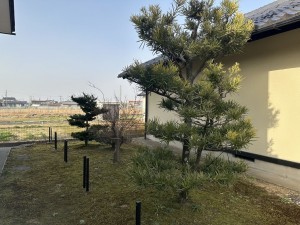 坂井市春江町境、中古一戸建ての外観画像です