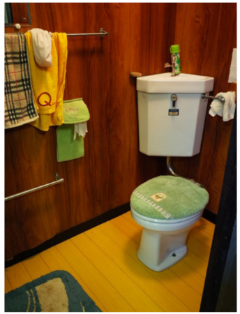 福井市松蔭町、中古一戸建てのトイレ画像です