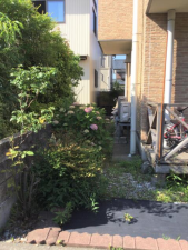 福井市加茂河原、中古一戸建ての外観画像です