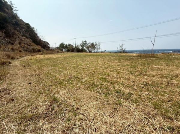 福井市鮎川町、土地の外観画像です