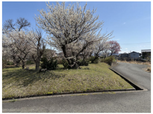 福井市下荒井町、土地の外観画像です