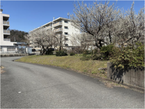 福井市下荒井町、土地の外観画像です