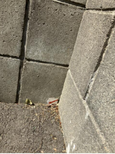 福井市花月、土地のその他画像です