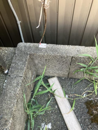 福井市花月、土地のその他画像です