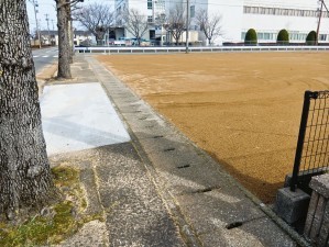 福井市定正町、土地の画像です