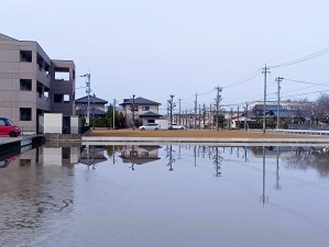 福井市定正町、土地の画像です