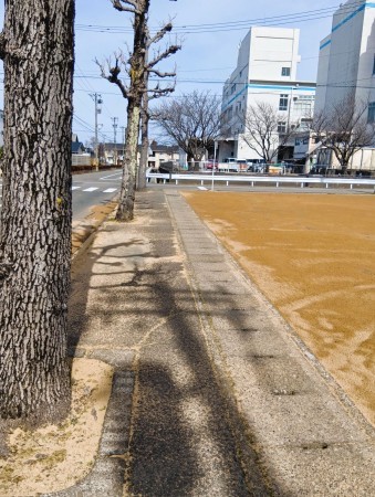 福井市定正町、土地の画像です