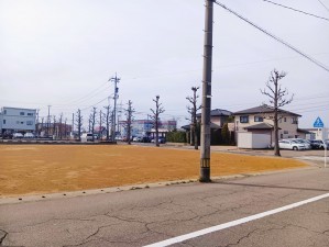 福井市定正町、土地の画像です