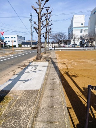 福井市定正町、土地の画像です