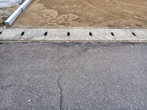 福井市定正町、土地の画像です