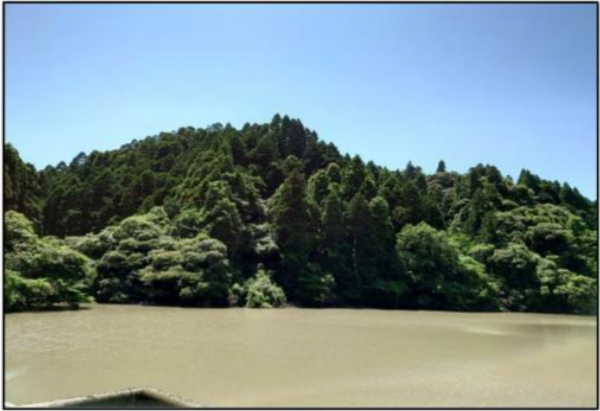 いすみ市長志、土地の画像です