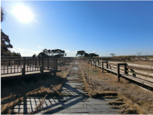 いすみ市岬町、土地の画像です