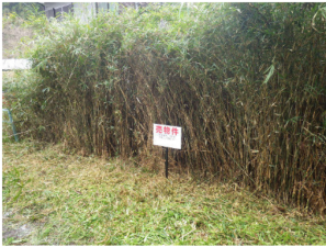 いすみ市岬町、土地の画像です