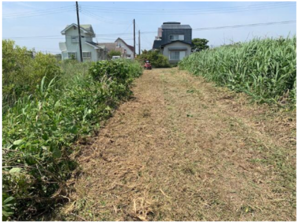 いすみ市岬町、土地の画像です