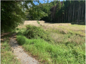 いすみ市新田野、土地の画像です