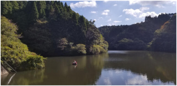 いすみ市新田野、土地の画像です