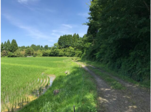 いすみ市山田、土地の画像です