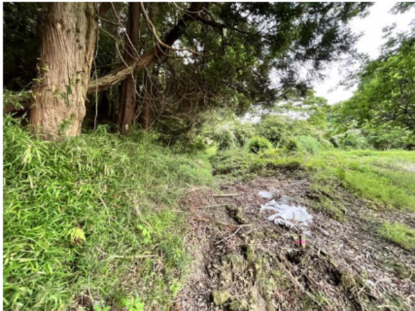 いすみ市新田、土地の画像です