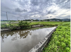 いすみ市下布施、土地の画像です