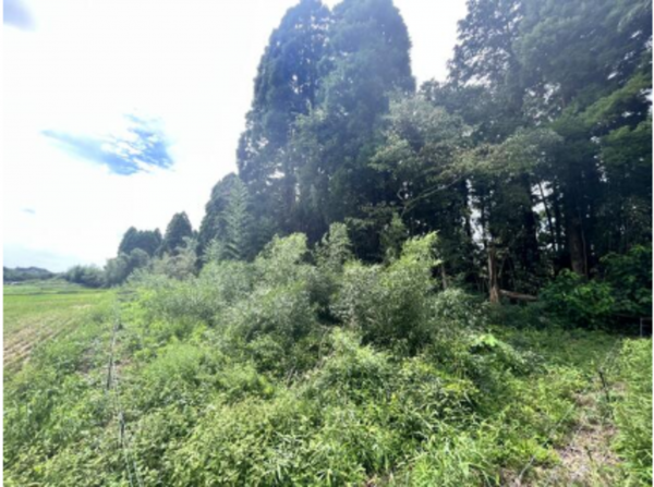 いすみ市行川、土地の画像です