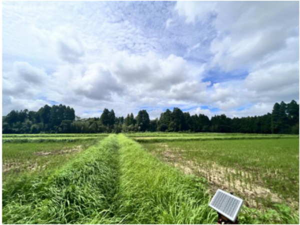 いすみ市行川、土地の画像です