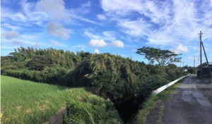 いすみ市若山、土地の画像です