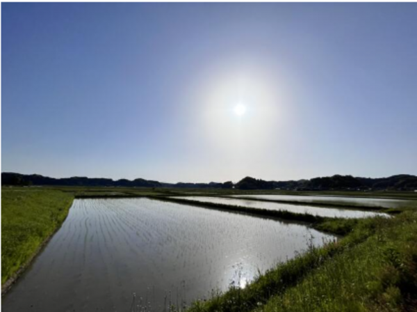 いすみ市荻原、土地の画像です
