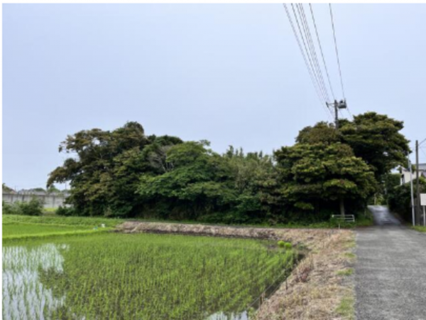 いすみ市若山、土地の画像です