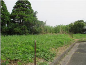 いすみ市小沢、土地の画像です