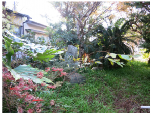 いすみ市大原、土地の画像です