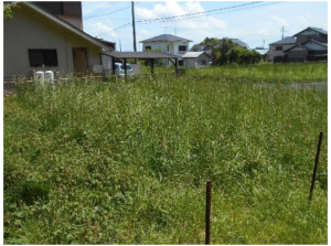 いすみ市岬町、土地の画像です