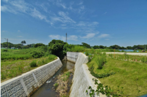 勝浦市上植野、土地の画像です