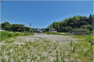 勝浦市上植野、土地の画像です