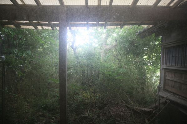 夷隅郡御宿町新町、土地の画像です