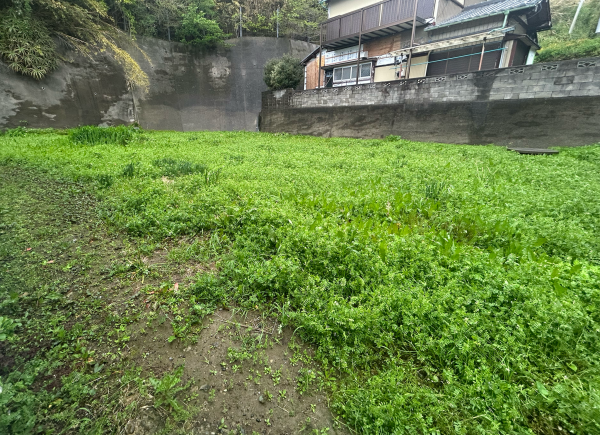 勝浦市川津、土地の画像です
