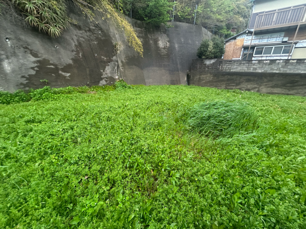 勝浦市川津、土地の画像です