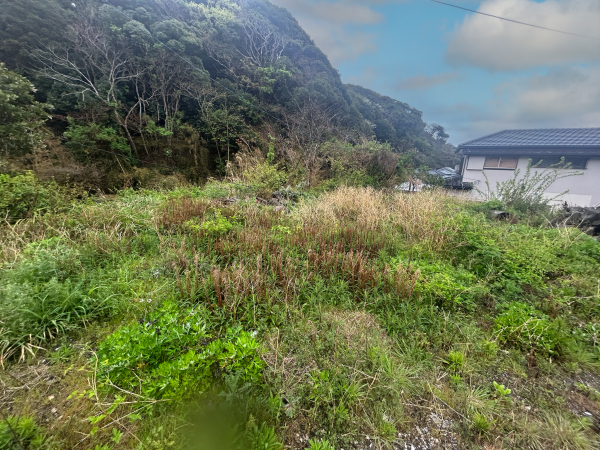 勝浦市鵜原、土地の画像です