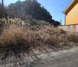 勝浦市墨名、土地の画像です